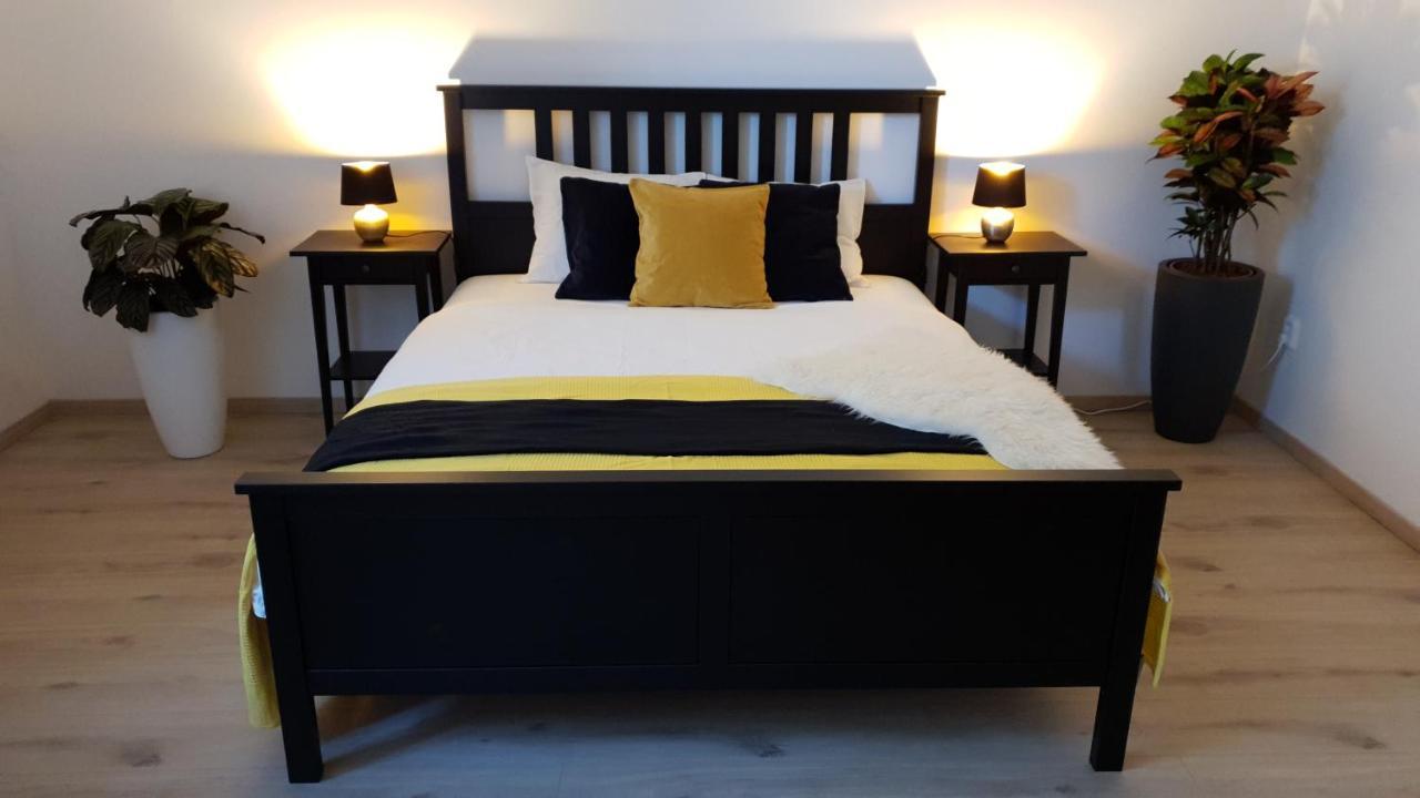 Le Monde Apartment Bratislava - Amazing 5Bdr In Downtown Экстерьер фото